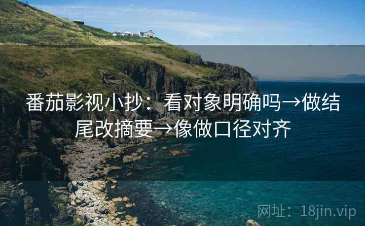 番茄影视小抄：看对象明确吗→做结尾改摘要→像做口径对齐